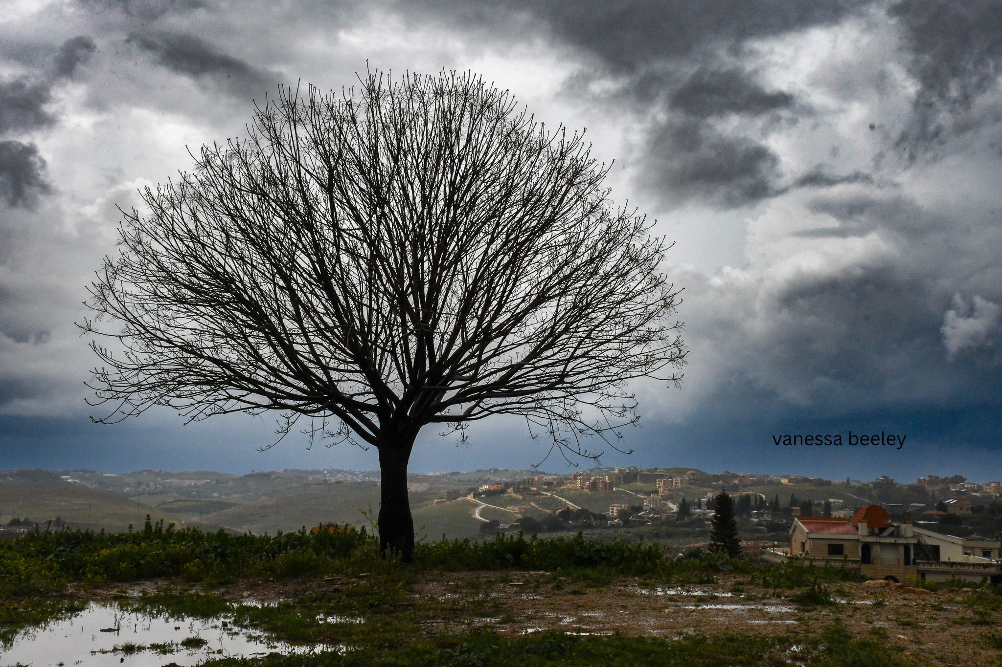 Sohmor, Lebanon: A Legacy of Persecution and Resistance, Now Under ...