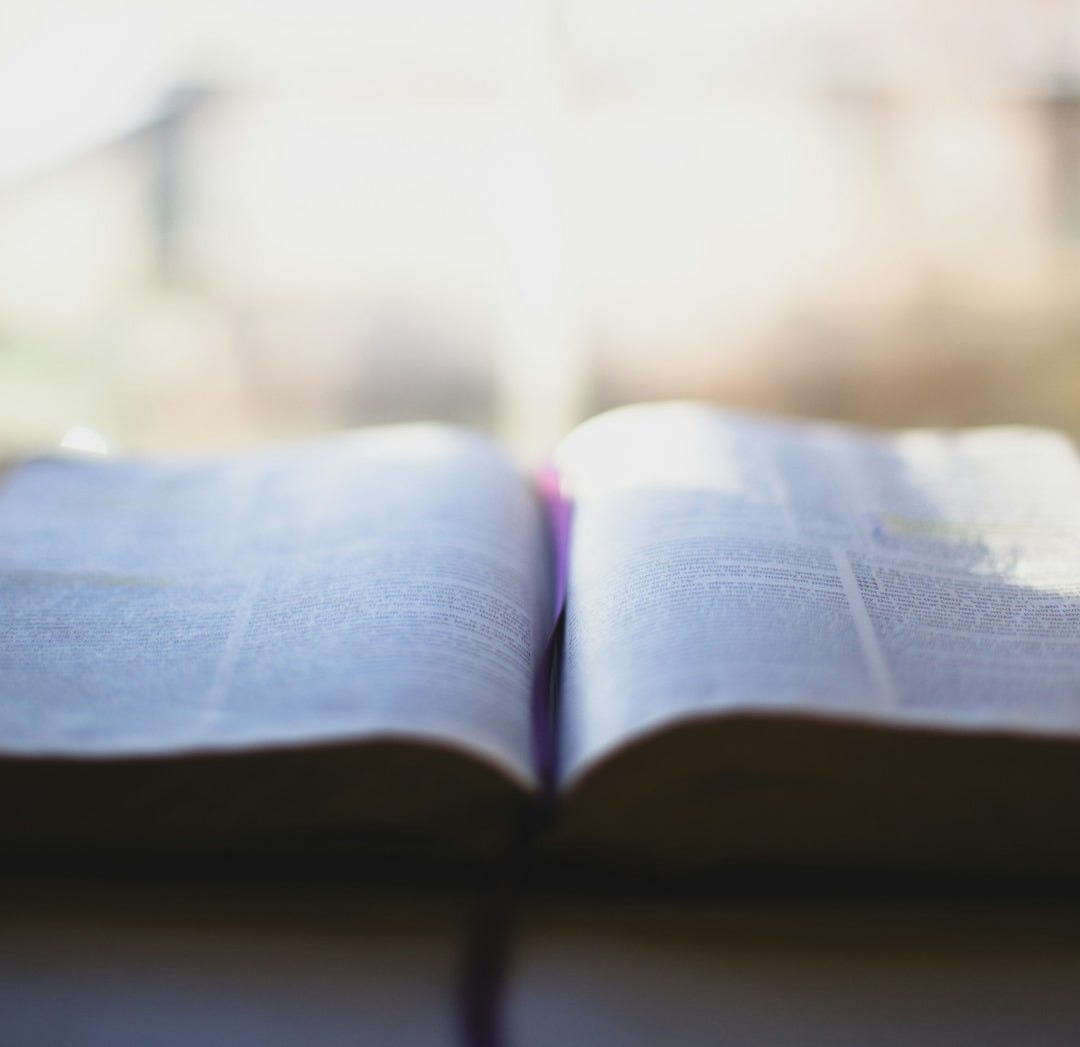 opened book opened book