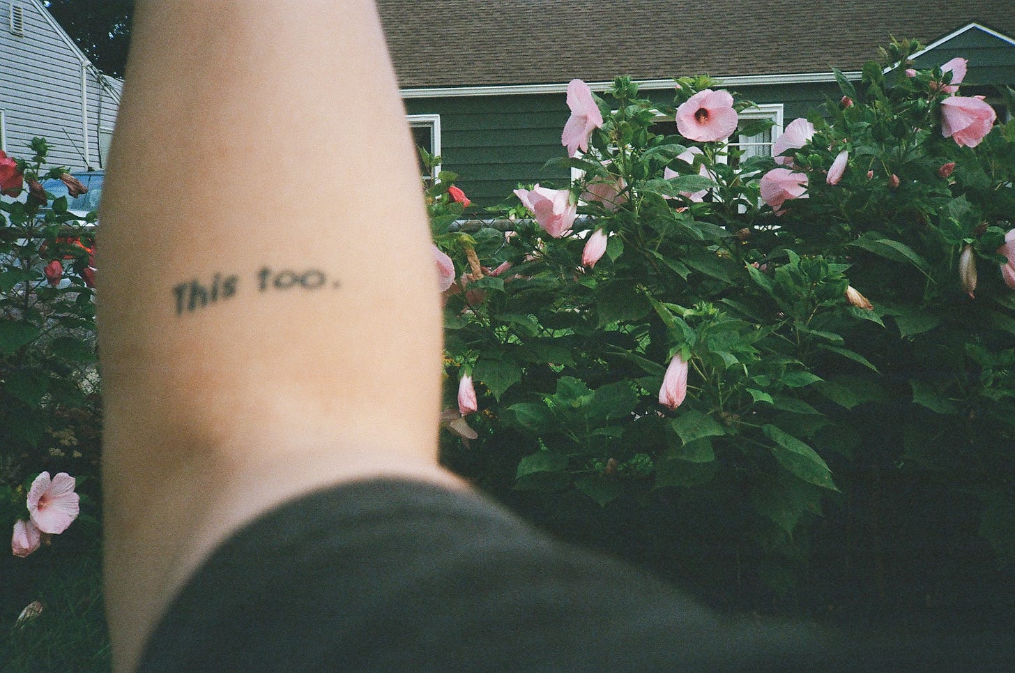 A blurry, close up photo of Rebekah's forearm with the words "This too." tattooed just above the crook in her elbow. In the background there are a lot of juicy pink flowers that may or may not be hibiscus. A blurry, close up photo of Rebekah's forearm with the words "This too." tattooed just above the crook in her elbow. In the background there are a lot of juicy pink flowers that may or may not be hibiscus.