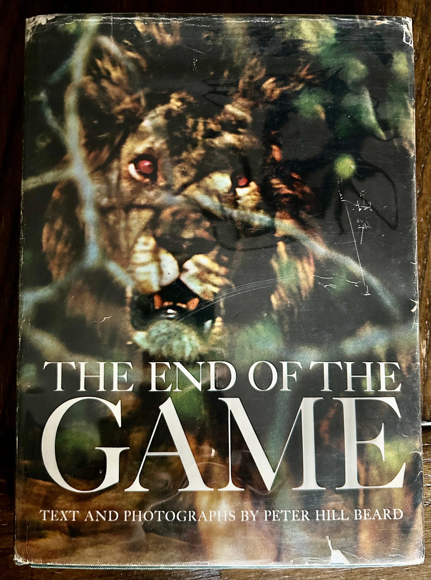 Peter Green - by Tyler King