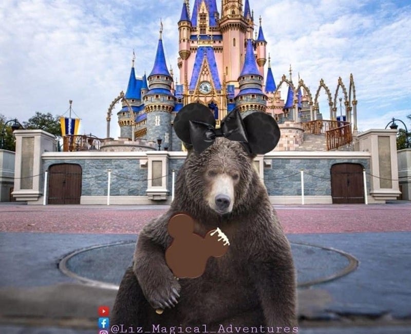 If you give a bear a Disney World ticket...