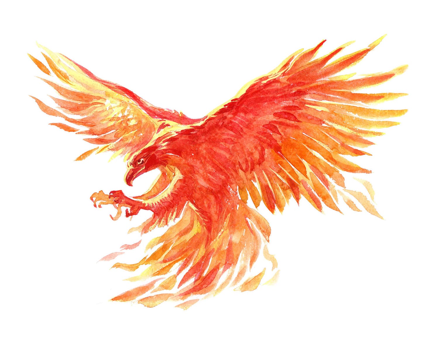 Phoenix Spirit Animal Symbolism & Meaning - AZ Animals
