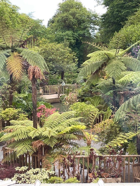 photos of a garden in St. Austell by Sabrina Simpson
