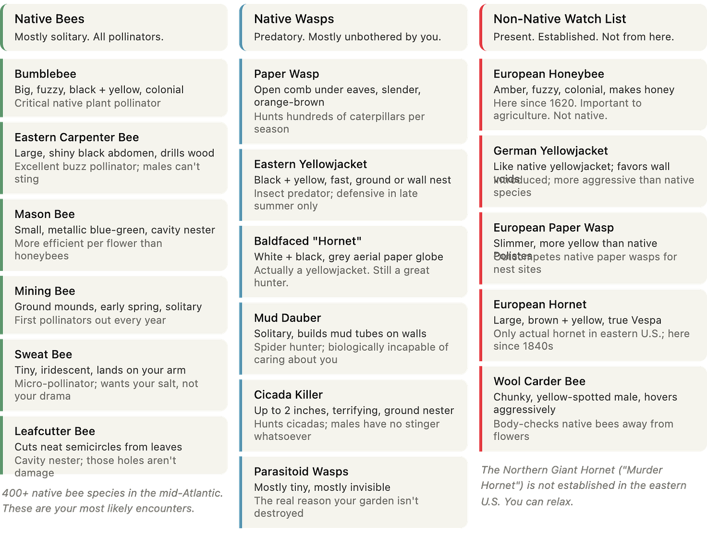 Pasted Graphic 1.png