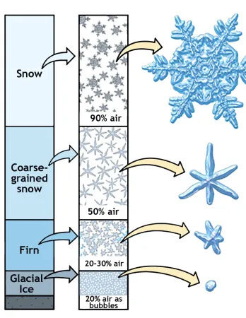 Schematic of glacial formation, snow types, and percentages Schematic of glacial formation, snow types, and percentages