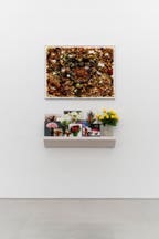Sophie Calle, In Memory of Frank Gehry's Flowers, 2014. Digital color photograph with hand-cut edge, framed, 11 two-sided plexi-framed color photographs and text  arrangeable in a painted wood, grooved, wall- mounted shelf, Glass va