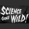 Science Is Not The Answer