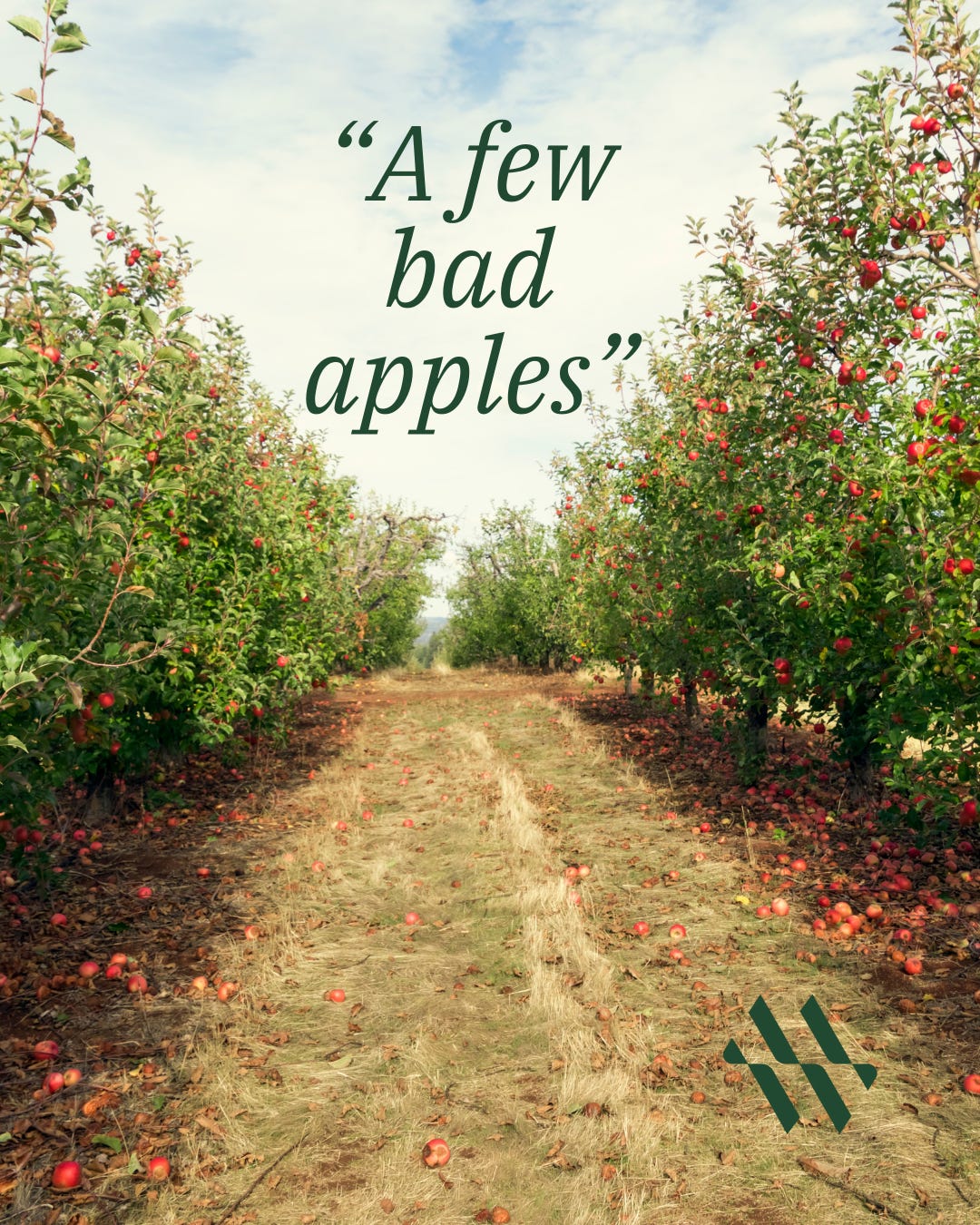 Text: A few bad apples written on image of apple orchard Text: A few bad apples written on image of apple orchard