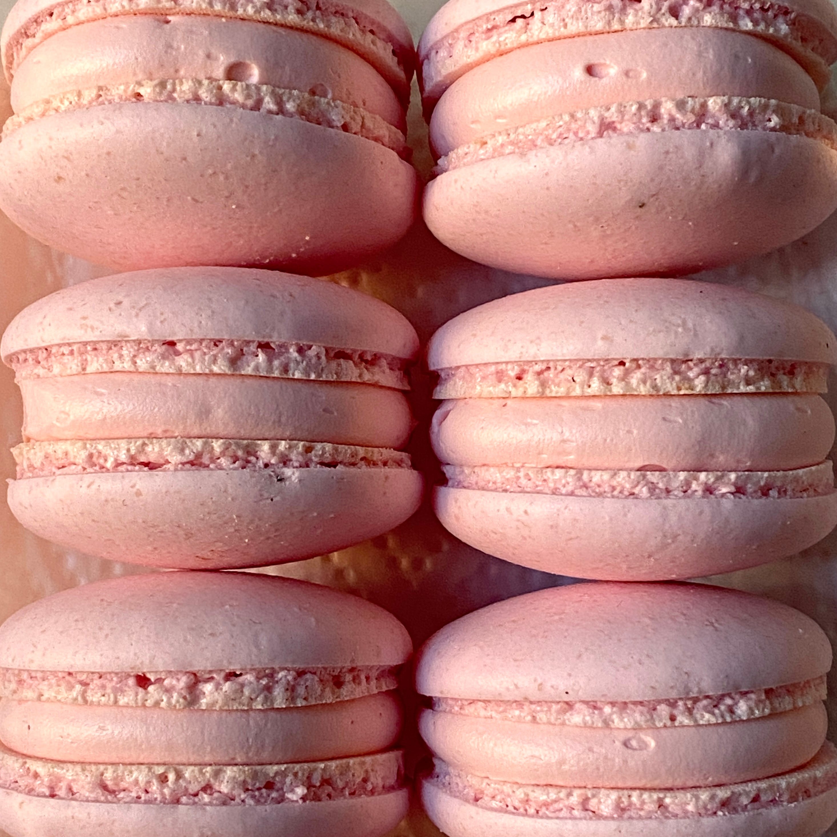 Macaron Mayhem - by Sophie Bamford - All Day Cake