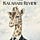 The Kalahari Review