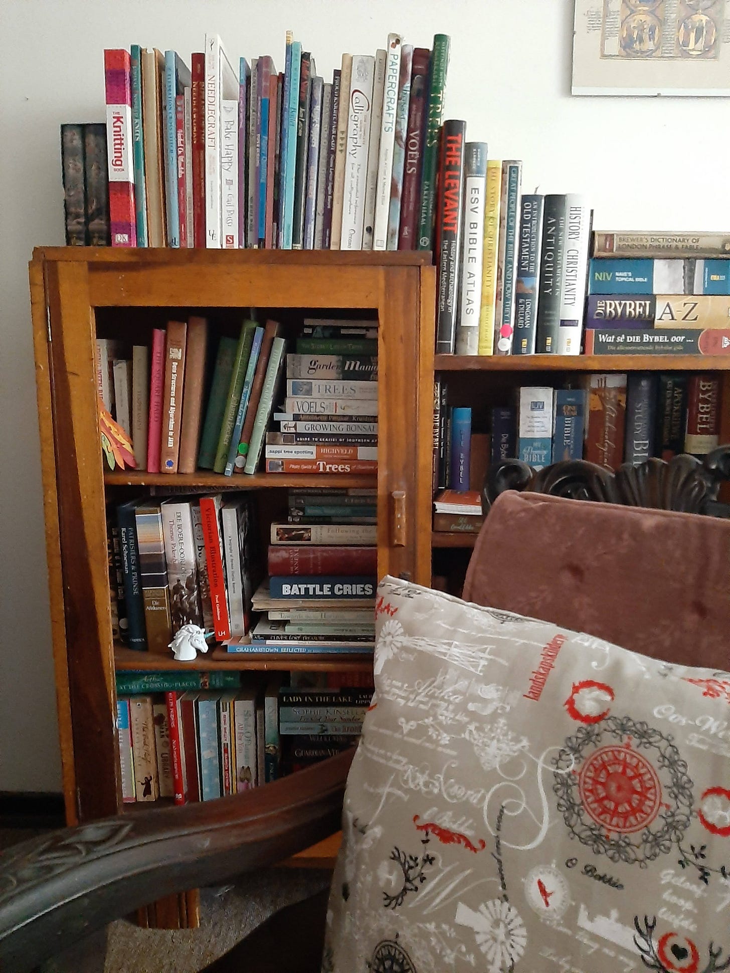 Bookshelf with books