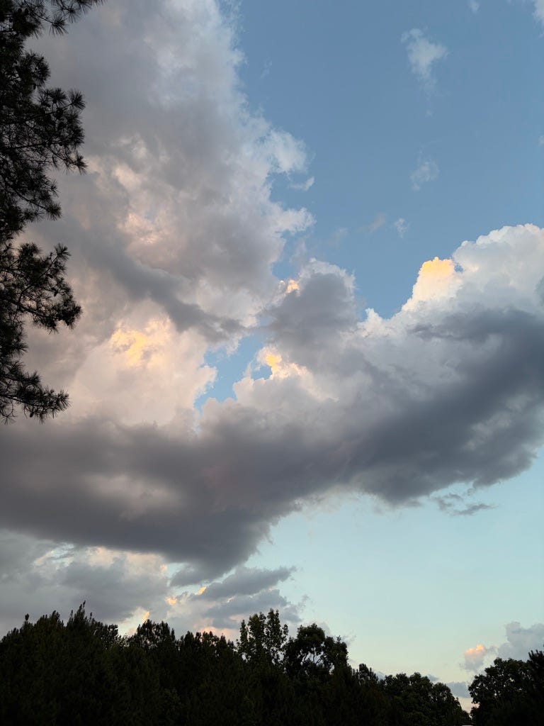 turn down the noise and go outside where the sky is blue and the clouds are moving