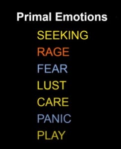 Image listing the 7 primal emotions Image listing the 7 primal emotions