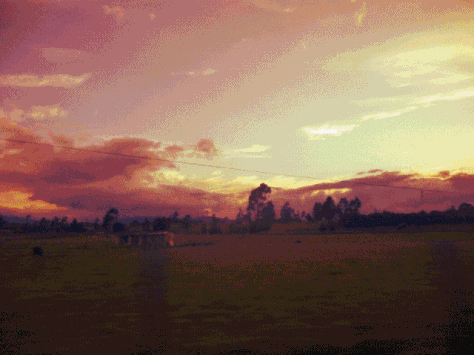This may contain: the sun is setting over an open field This may contain: the sun is setting over an open field