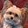 Matt Ion's avatar
