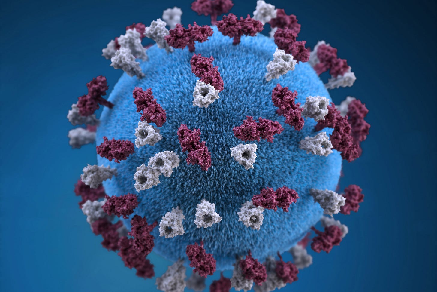 Study suggests how measles depletes body's immune memory — Harvard Gazette Study suggests how measles depletes body's immune memory — Harvard Gazette