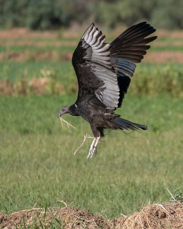 20250911-Marana-155-Edit.jpg 20250911-Marana-155-Edit.jpg