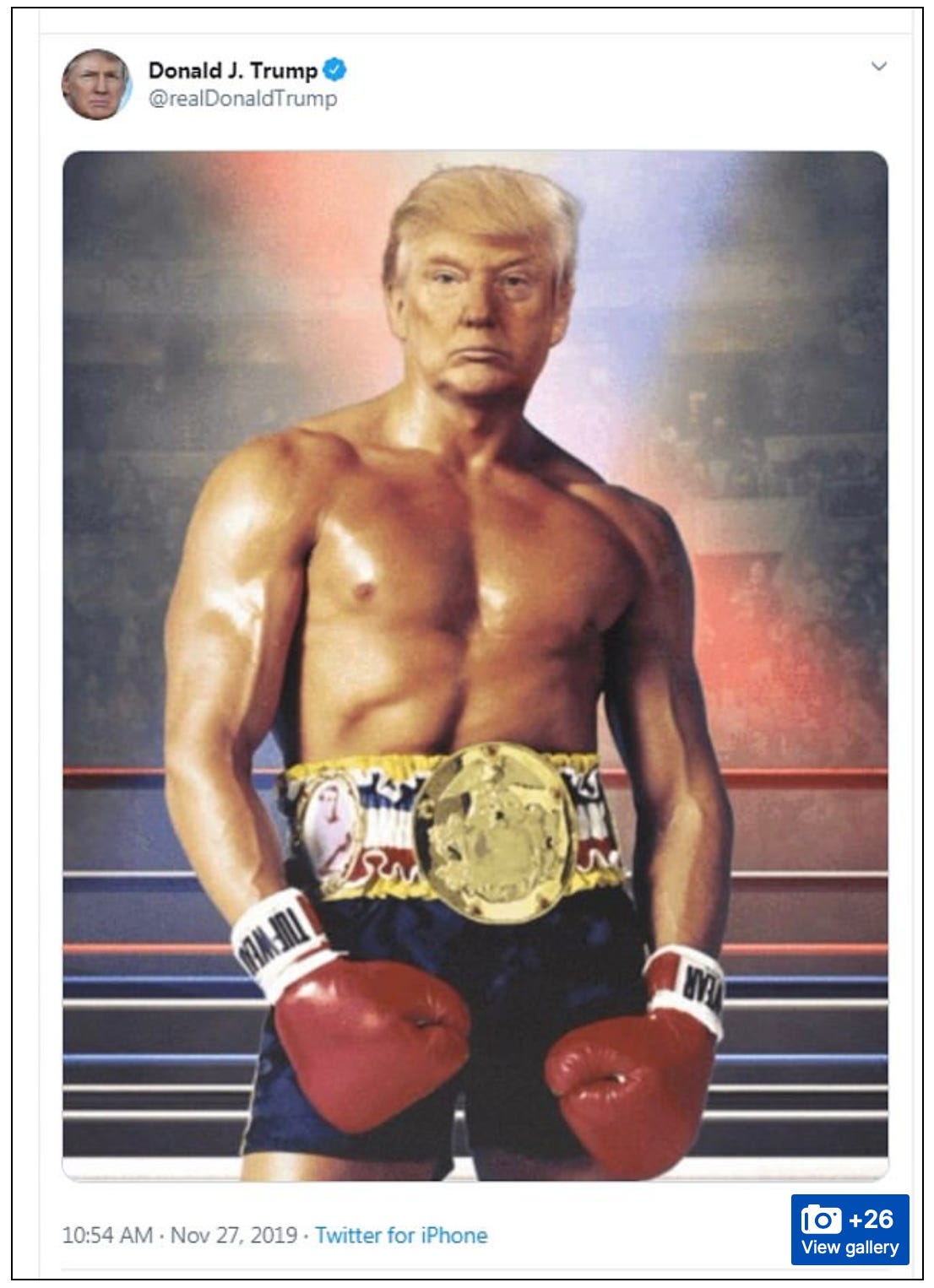 Image of the tweet Donald Trump posted on 11/27/19 showing his head on top of Rocky's body.
