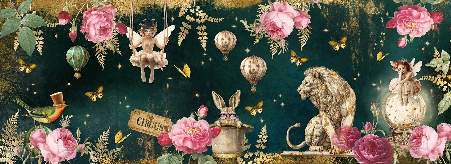 Outside of tarot of the rose deck wrap