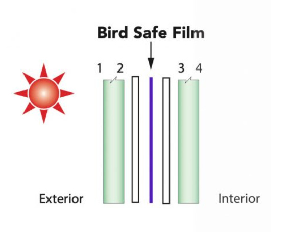 Window Slap Avoid window collisions inside your home