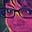 Rosa Lee Blüm's avatar