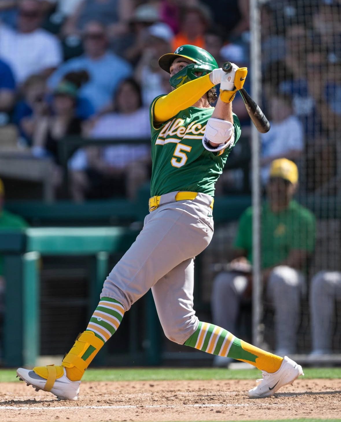 Jacob Wilson Spring Everything You Need to Know About Spring Training