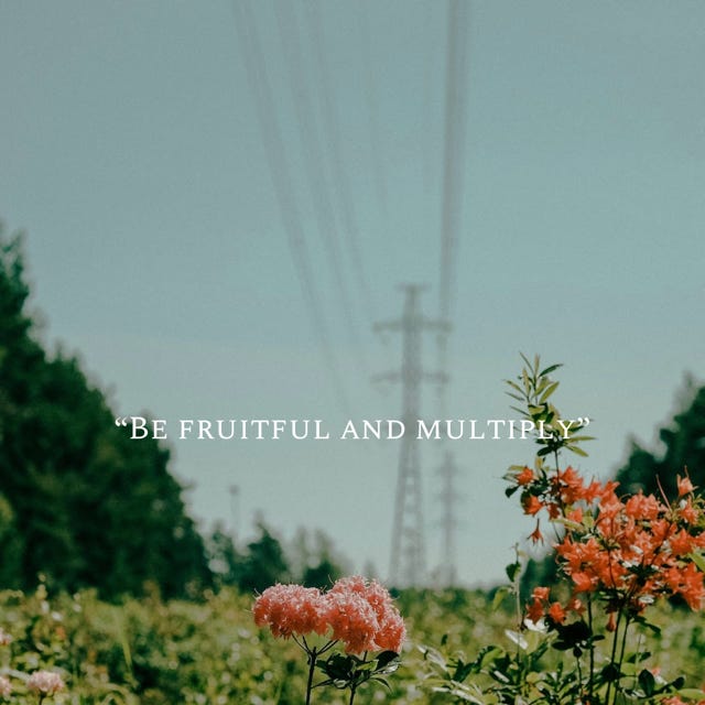 Be Fruitful & Multiply