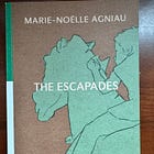 Poem Reading: "Escapade (33)" by Marie-Noëlle Agniau translated by Jesse Hover Amar