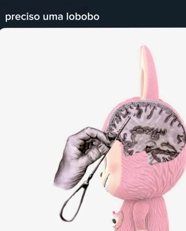 legenda "preciso de uma lobobo", com a imagem de um boneco labubu rosa de perfil, com o desenho esquemático médico de um cérebro, e uma mão também de ilustração médica aplicando uma agulha como se estivesse fazendo uma lobotomia no boneco