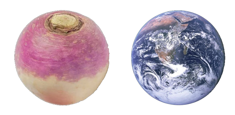The World as Turnip