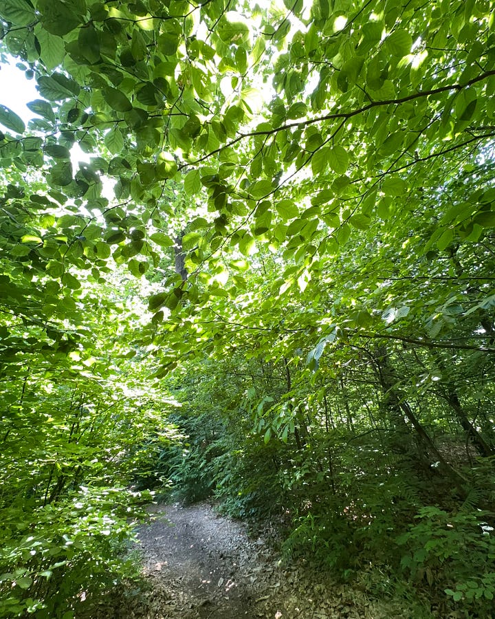 1200 acre park just short walk from hotel