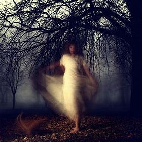 Ghosts in the Hedgerow