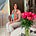 Amanda L. Mottorn's avatar