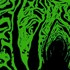 The Surrealist Cabbage and Roger Caillois's Stones