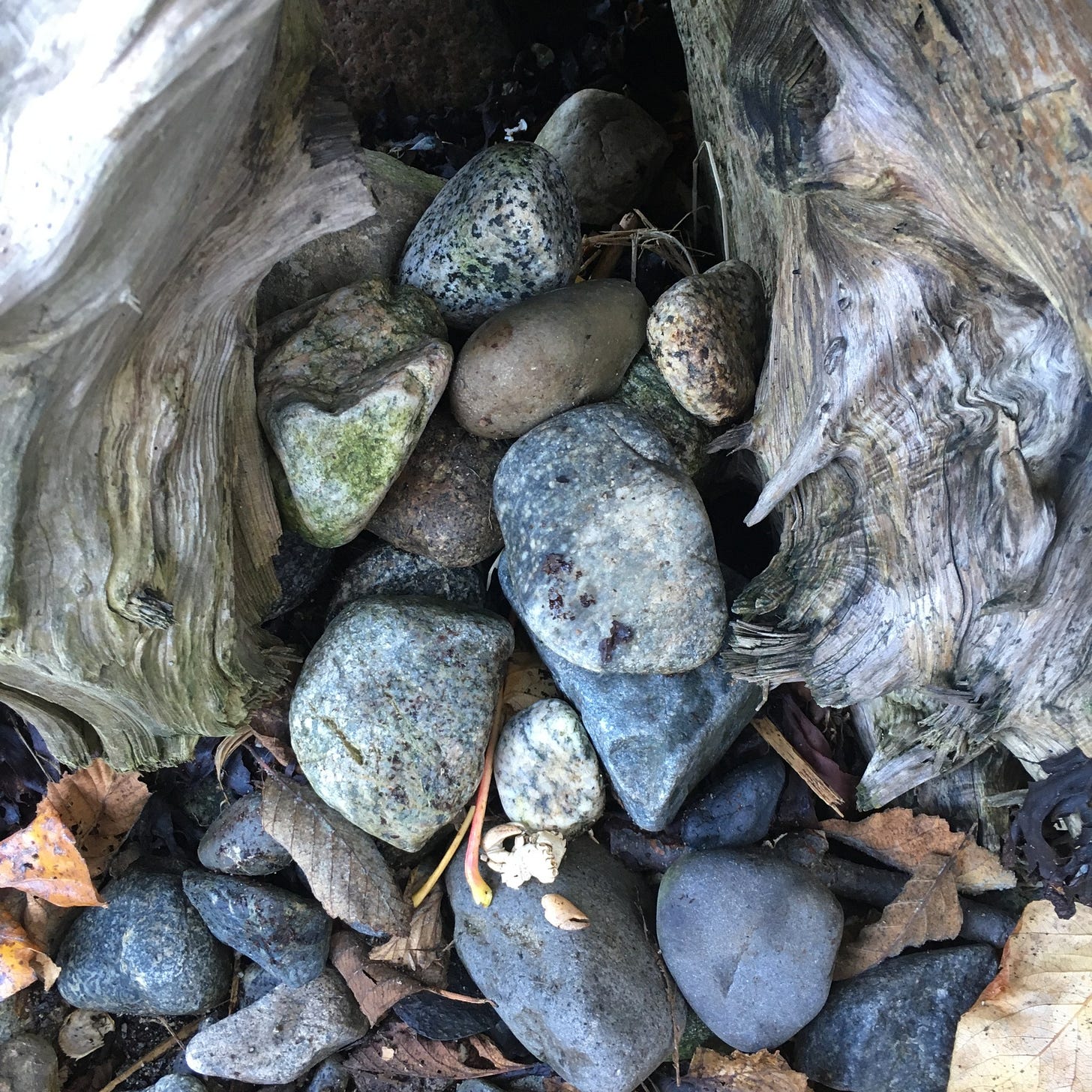 A Cailleach Cairn for your Samhain Release Ritual – Inner Journey ...