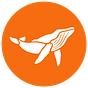 SeaLegacy's avatar