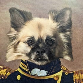 Remembering Cooper Dog
