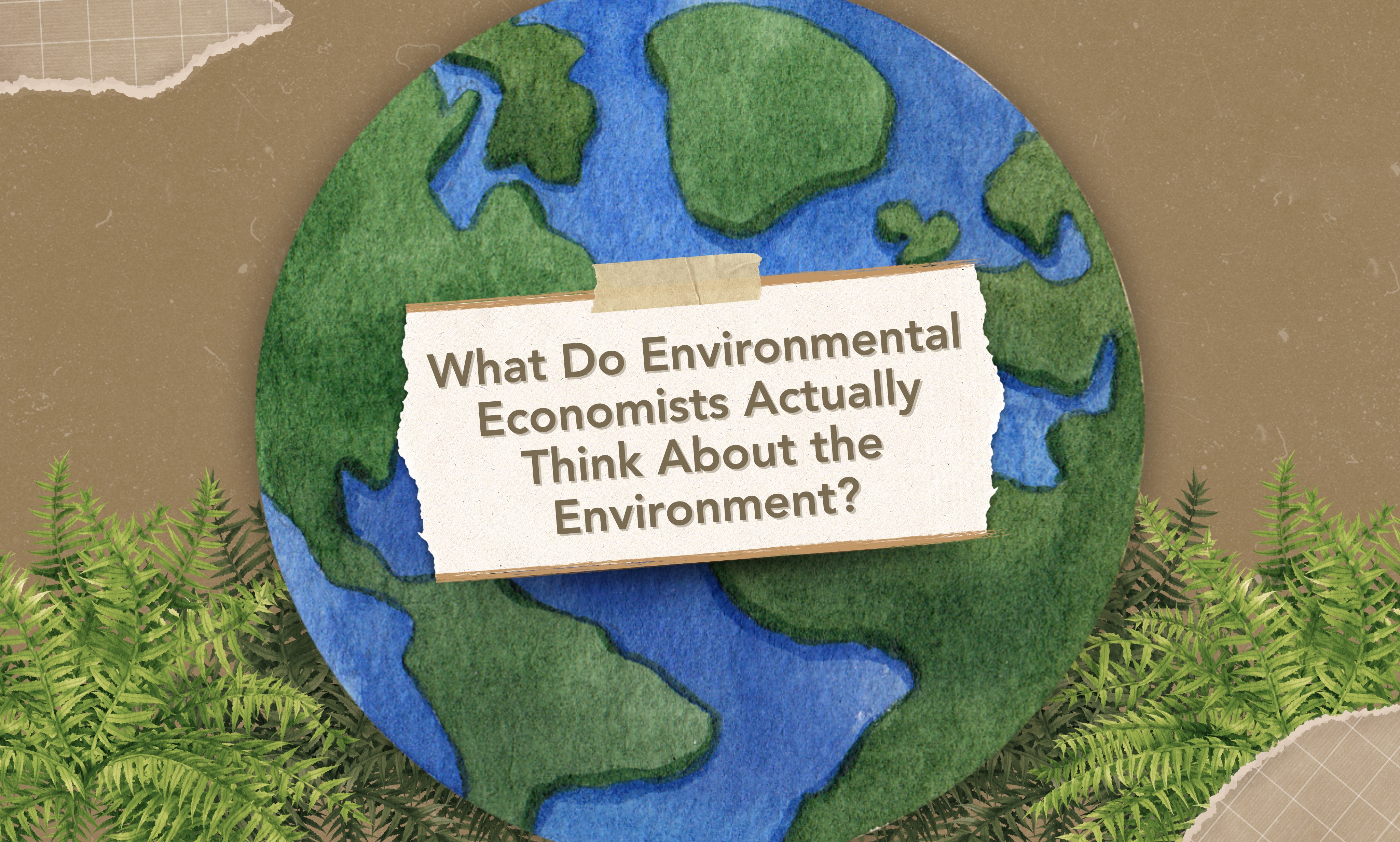 What Do Environmental Economists Actually Think About the Environment?