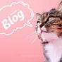 Meow….Blog