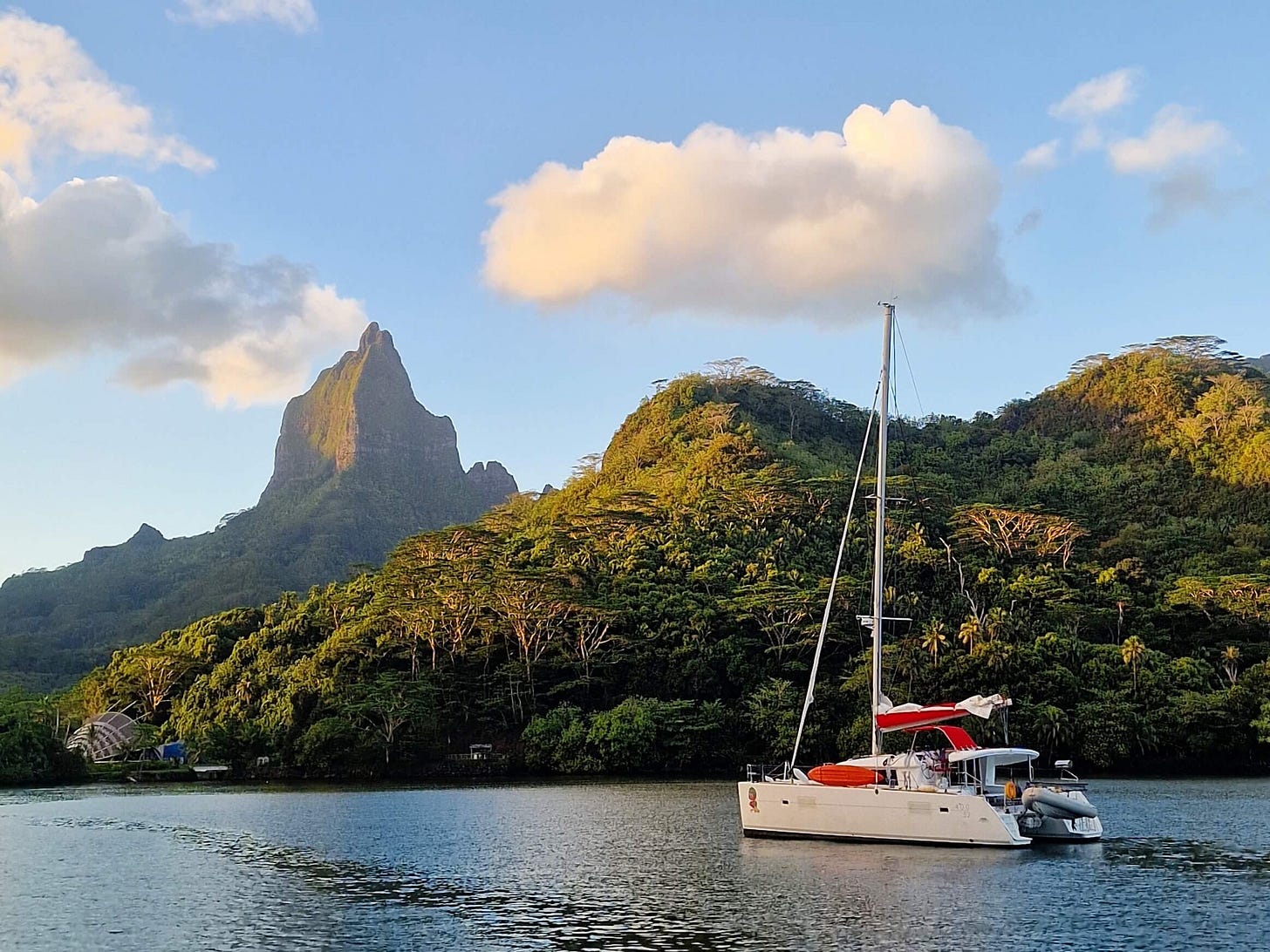 Letters From Polynesia: Welcoming Whales Letters From Polynesia: Welcoming Whales