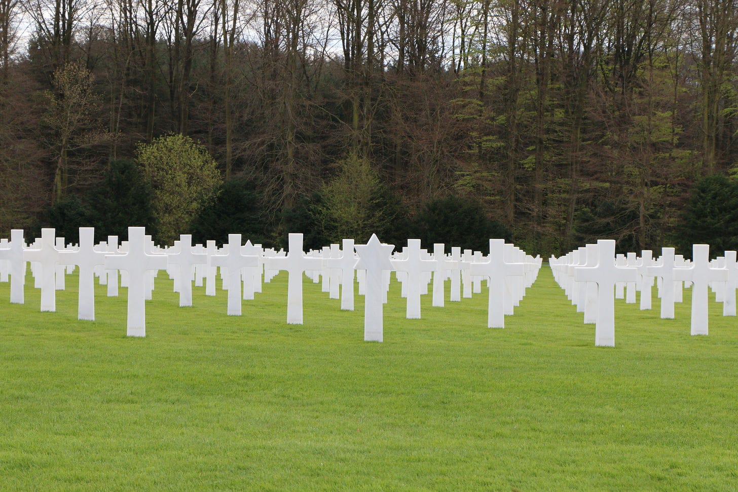 Castles on the Rhine Castles on the Rhine