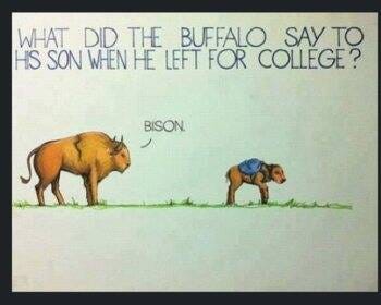 pun6_820.jpg