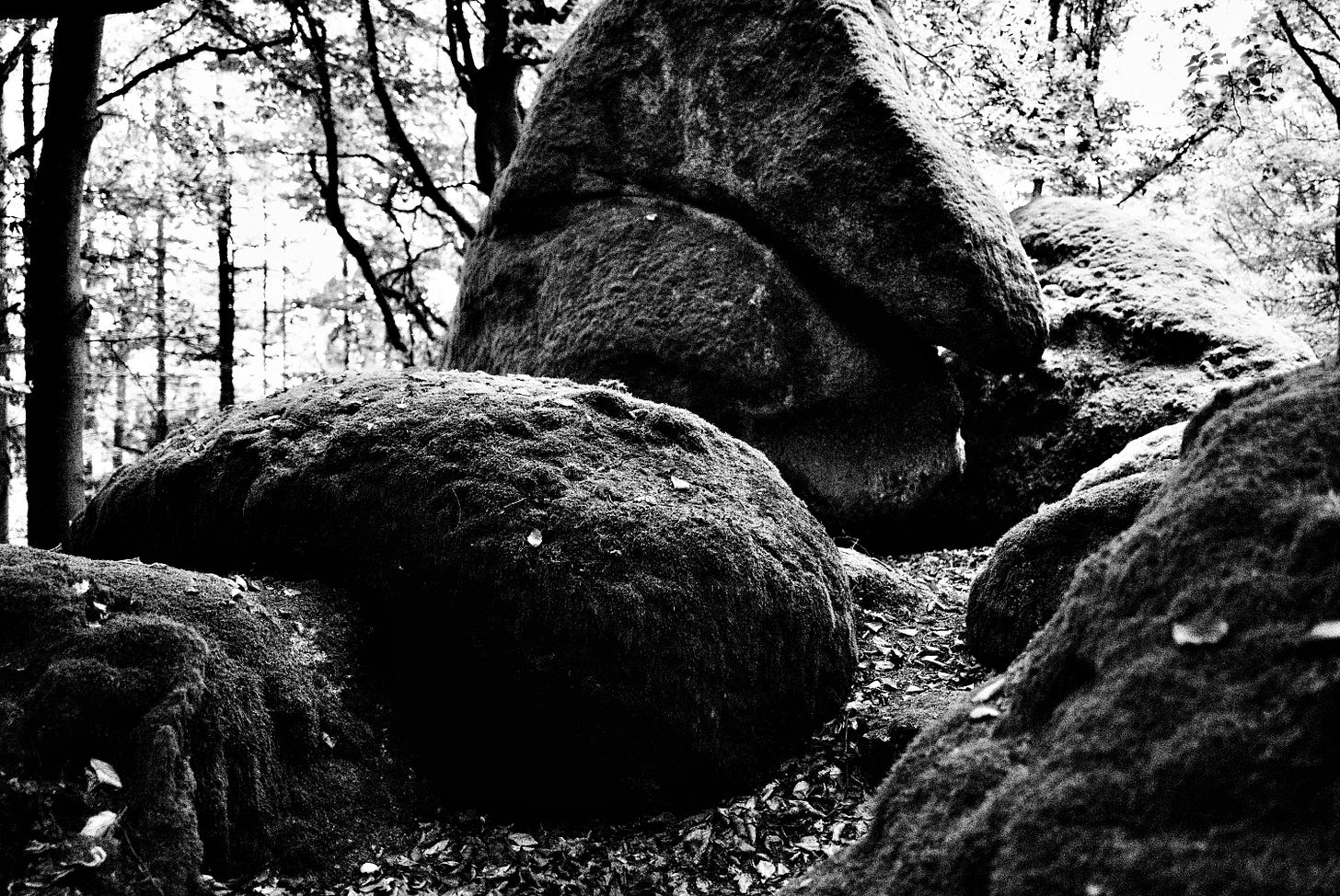 Sascha Büttner Leica Fotografie