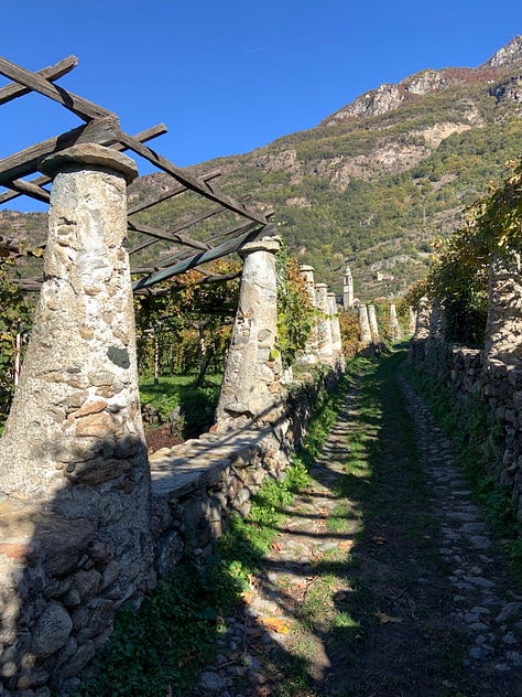 Autumn Walks In The Forests And In The Mountains: The Perfect Escape From City Life