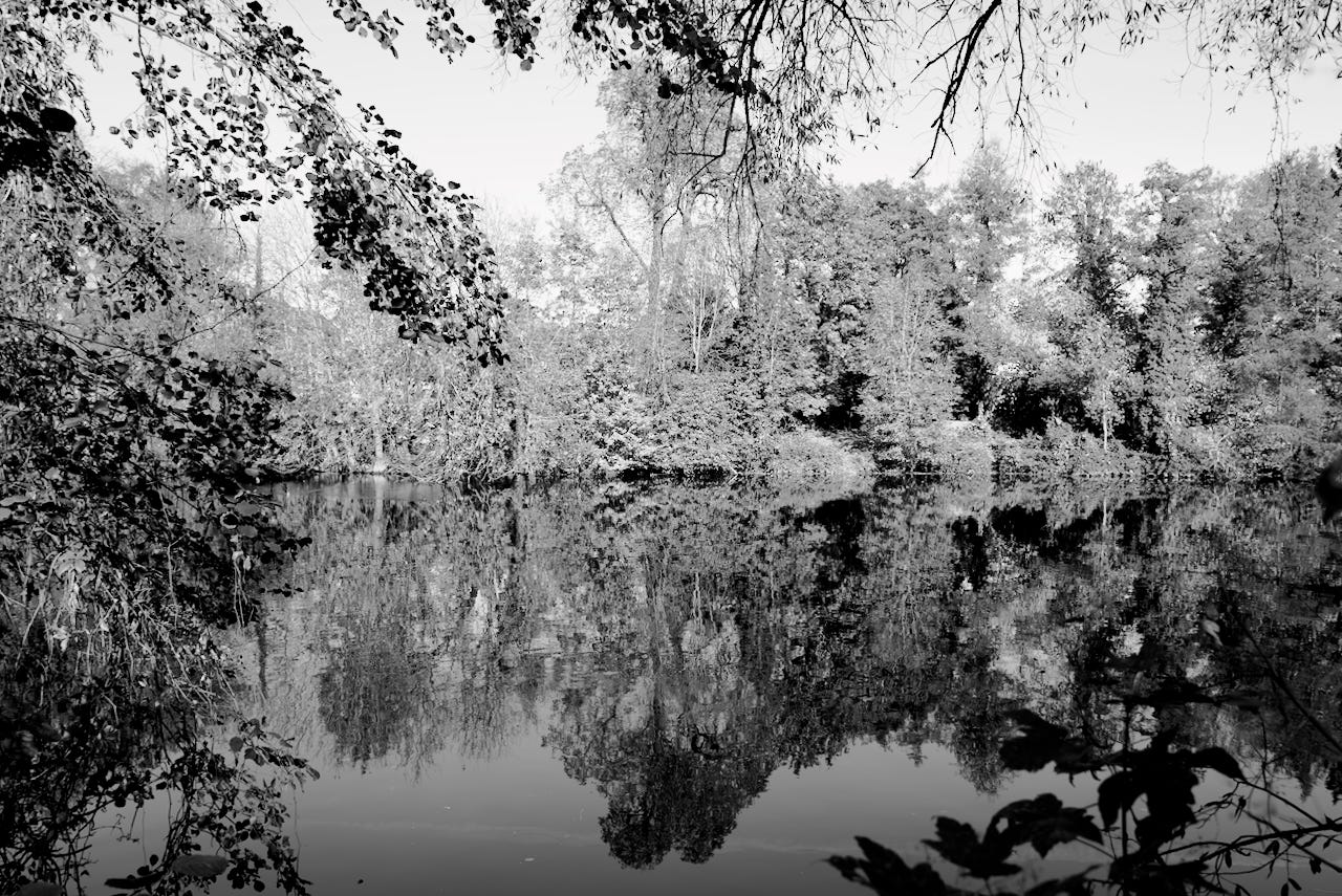 Natur – Sascha Büttner Fotografie