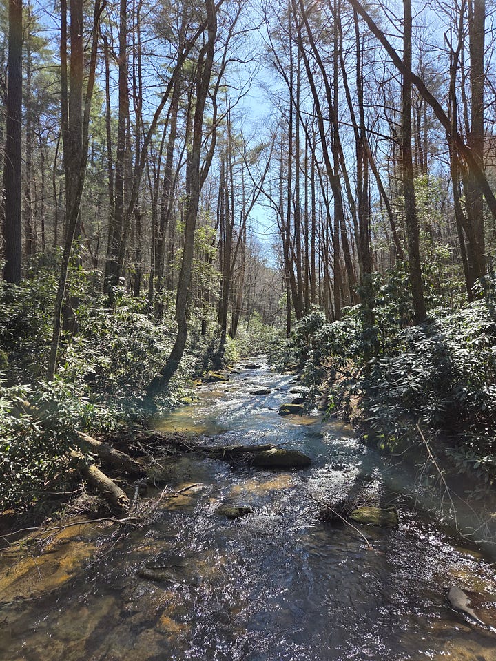 (Note that that hiker in the trail photos isn't me)