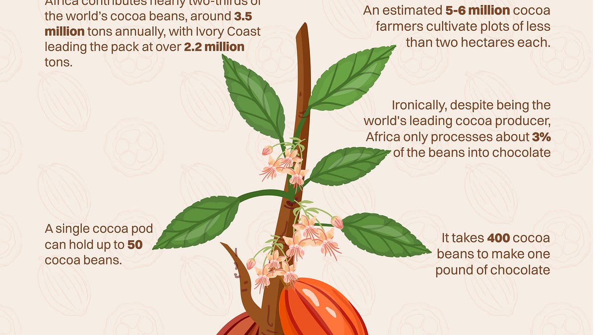 Too old for cocoa? - The Fair Trade Newsletter
