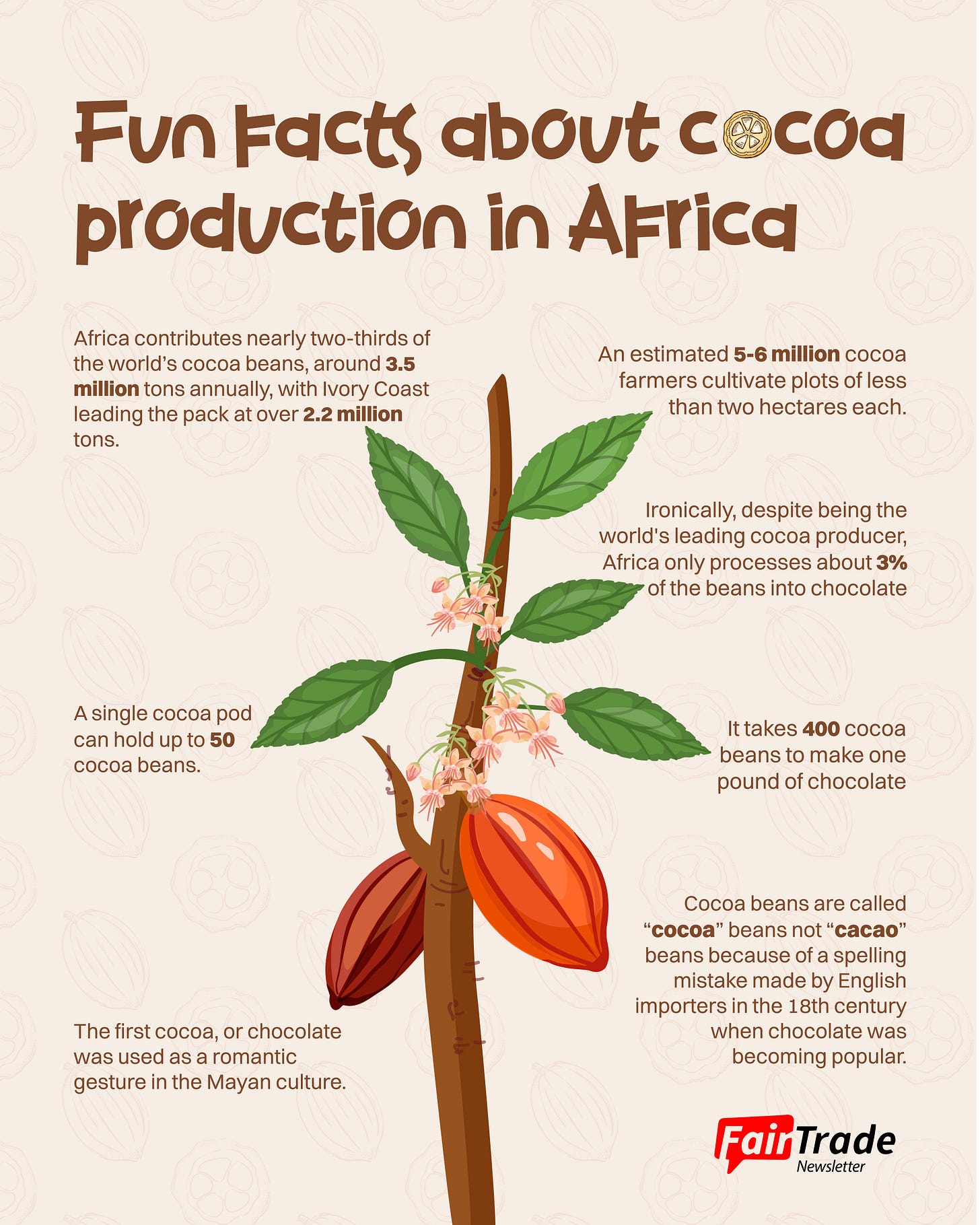 Too old for cocoa? - The Fair Trade Newsletter