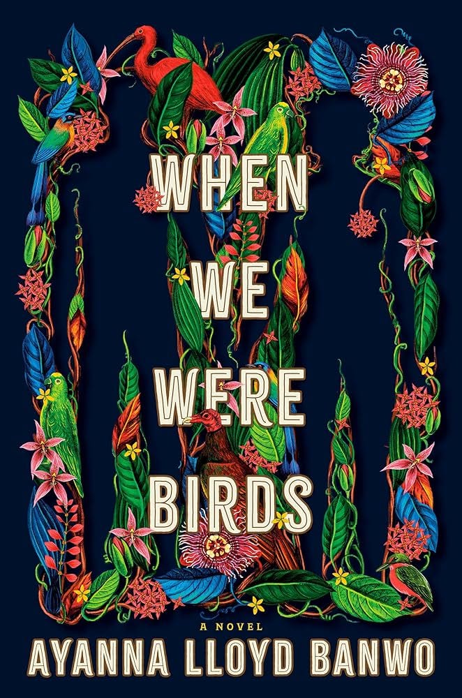 Amazon.com: When We Were Birds: A Novel: 9780385547260: Banwo, Ayanna  Lloyd: Books