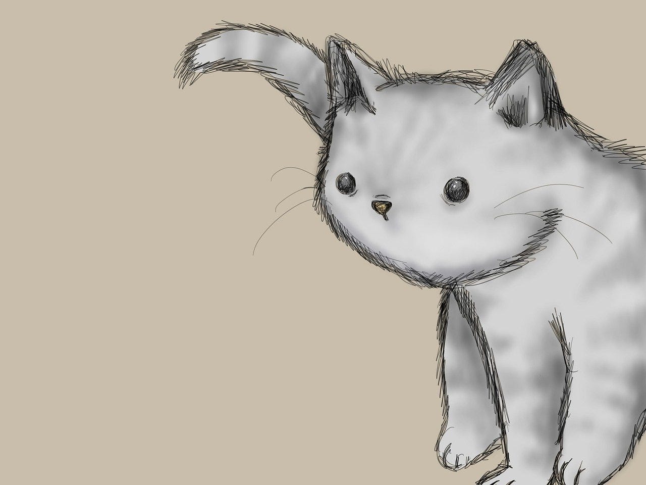 an illustration of a grey and white tabby kitten, standing on the right hand side and looking at the reader. 